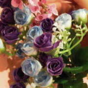 ヒメ日記 2026/03/08 18:12 投稿 マリ 角海老石亭