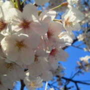 ヒメ日記 2026/04/03 18:42 投稿 マリ 角海老石亭