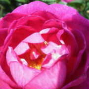 ヒメ日記 2026/04/16 16:39 投稿 マリ 角海老石亭