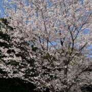 つむぎ _:(´ཀ`」∠):_ 角海老石亭