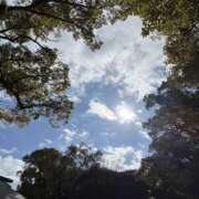 ヒメ日記 2026/04/16 16:54 投稿 つむぎ 角海老石亭