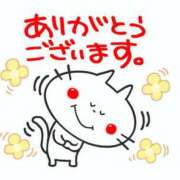 ヒメ日記 2026/02/28 20:00 投稿 栞 (しおり) 角海老石亭