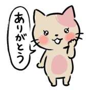 栞 (しおり) ８月のありがとう♡ 角海老石亭