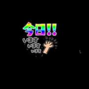 ヒメ日記 2025/11/10 10:23 投稿 キララ 角海老石亭