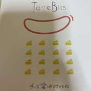 ヒメ日記 2025/11/14 19:46 投稿 キララ 角海老石亭