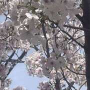 ヒメ日記 2026/04/07 10:31 投稿 キララ 角海老石亭