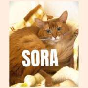 ヒメ日記 2026/01/20 17:12 投稿 そら 角海老石亭