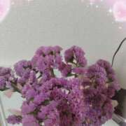 ヒメ日記 2026/03/31 21:51 投稿 ひめ 角海老石亭