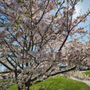 ヒメ日記 2026/04/06 16:19 投稿 ひめ 角海老石亭