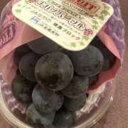 ヒメ日記 2025/08/31 13:00 投稿 こうめ 角海老石亭