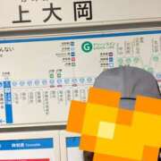 ヒメ日記 2025/10/11 10:00 投稿 こうめ 角海老石亭