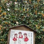 ヒメ日記 2025/10/22 13:00 投稿 こうめ 角海老石亭