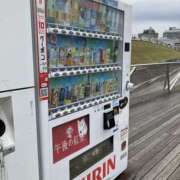 ヒメ日記 2025/10/25 10:00 投稿 こうめ 角海老石亭