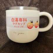 ヒメ日記 2025/10/27 13:00 投稿 こうめ 角海老石亭