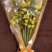 ヒメ日記 2025/11/02 10:00 投稿 こうめ 角海老石亭