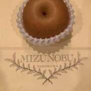 ヒメ日記 2025/11/04 10:00 投稿 こうめ 角海老石亭