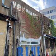 ヒメ日記 2025/11/05 13:00 投稿 こうめ 角海老石亭