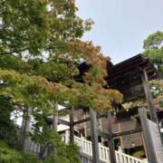 ヒメ日記 2025/11/06 13:00 投稿 こうめ 角海老石亭