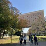 ヒメ日記 2025/11/08 10:00 投稿 こうめ 角海老石亭