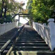 ヒメ日記 2025/11/14 10:00 投稿 こうめ 角海老石亭