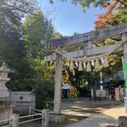 ヒメ日記 2025/11/15 10:00 投稿 こうめ 角海老石亭