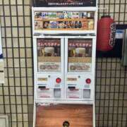 ヒメ日記 2025/11/17 10:00 投稿 こうめ 角海老石亭