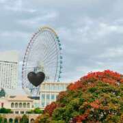 ヒメ日記 2025/11/17 16:27 投稿 こうめ 角海老石亭