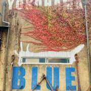 ヒメ日記 2025/11/18 09:00 投稿 こうめ 角海老石亭