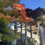 ヒメ日記 2025/11/18 11:00 投稿 こうめ 角海老石亭