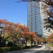 ヒメ日記 2025/11/22 10:00 投稿 こうめ 角海老石亭