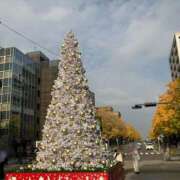 ヒメ日記 2025/12/03 10:00 投稿 こうめ 角海老石亭