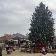 ヒメ日記 2025/12/03 13:00 投稿 こうめ 角海老石亭