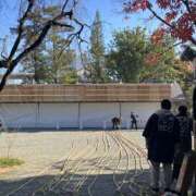 ヒメ日記 2025/12/08 13:00 投稿 こうめ 角海老石亭