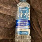 ヒメ日記 2025/12/17 10:00 投稿 こうめ 角海老石亭