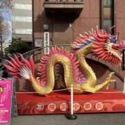 ヒメ日記 2026/01/18 13:00 投稿 こうめ 角海老石亭