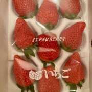 ヒメ日記 2026/01/19 13:00 投稿 こうめ 角海老石亭