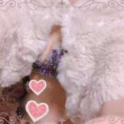 ヒメ日記 2025/01/03 21:21 投稿 水田ちえみ ミセス大阪日本橋店