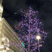 ヒメ日記 2025/12/07 20:53 投稿 水田ちえみ ミセス大阪日本橋店