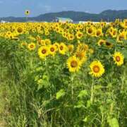 ヒメ日記 2026/07/21 11:07 投稿 水田ちえみ ひとづま百花