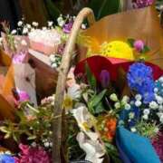 ヒメ日記 2026/10/02 13:58 投稿 水田ちえみ ひとづま百花