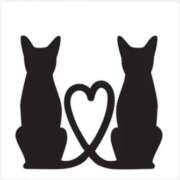 ヒメ日記 2025/02/27 11:50 投稿 かおる 奥鉄オクテツ東京店（デリヘル市場）