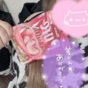 ヒメ日記 2025/01/23 21:33 投稿 なな 錦糸町ぽちゃカワ女子専門店！我慢できないの！