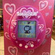 ヒメ日記 2025/08/13 23:19 投稿 なな 錦糸町ぽちゃカワ女子専門店！我慢できないの！