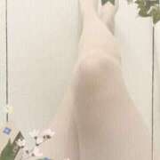 ヒメ日記 2025/04/23 09:44 投稿 ゆうこ 熟女家 堺東店