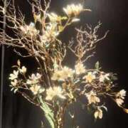 ヒメ日記 2025/09/23 09:01 投稿 ゆうこ 熟女家 堺東店