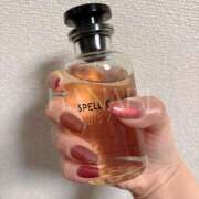 ヒメ日記 2025/04/24 04:00 投稿 ハナビ秘書 秘書の品格 クラブアッシュ ヴァリエ