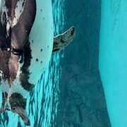 ヒメ日記 2025/05/12 23:19 投稿 内海 熟女待機所 厚木店