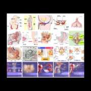 ヒメ日記 2025/04/06 17:59 投稿 MoRe 恋愛生欲情の扉
