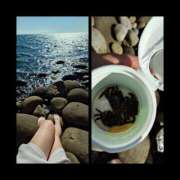 ヒメ日記 2025/08/19 14:36 投稿 MoRe 恋愛生欲情の扉