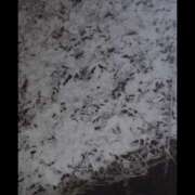 ヒメ日記 2025/10/28 21:49 投稿 MoRe 恋愛生欲情の扉